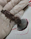 Poecilotheria metallica - Gooty Sapphire Ornamental