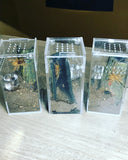 Sling Arboreal  Kit
