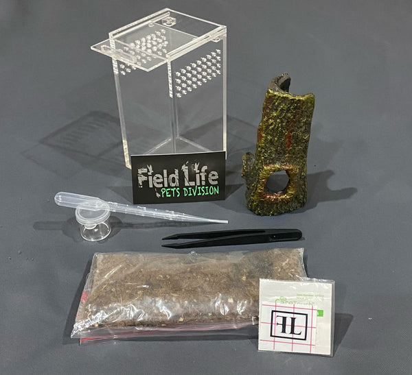 Sling Arboreal  Kit