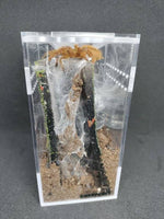 Sling Arboreal  Kit