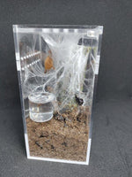 Sling Arboreal  Kit