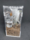 Sling Arboreal  Kit